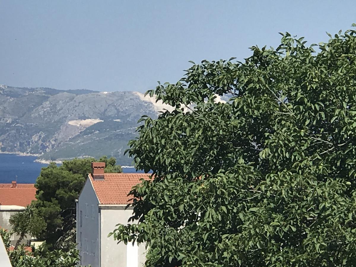 Apartament Jelena 1 Cavtat Zewnętrze zdjęcie
